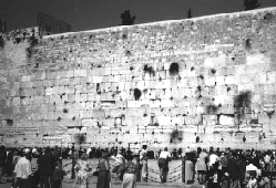 kotel